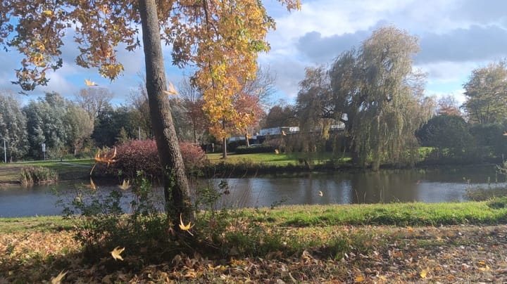 Photo 17 of Orionstraat 31