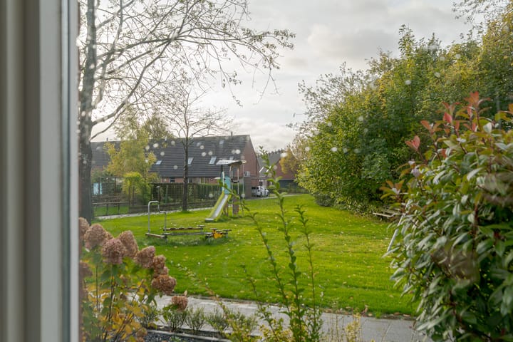 Foto 15 van Tiendlanden 36