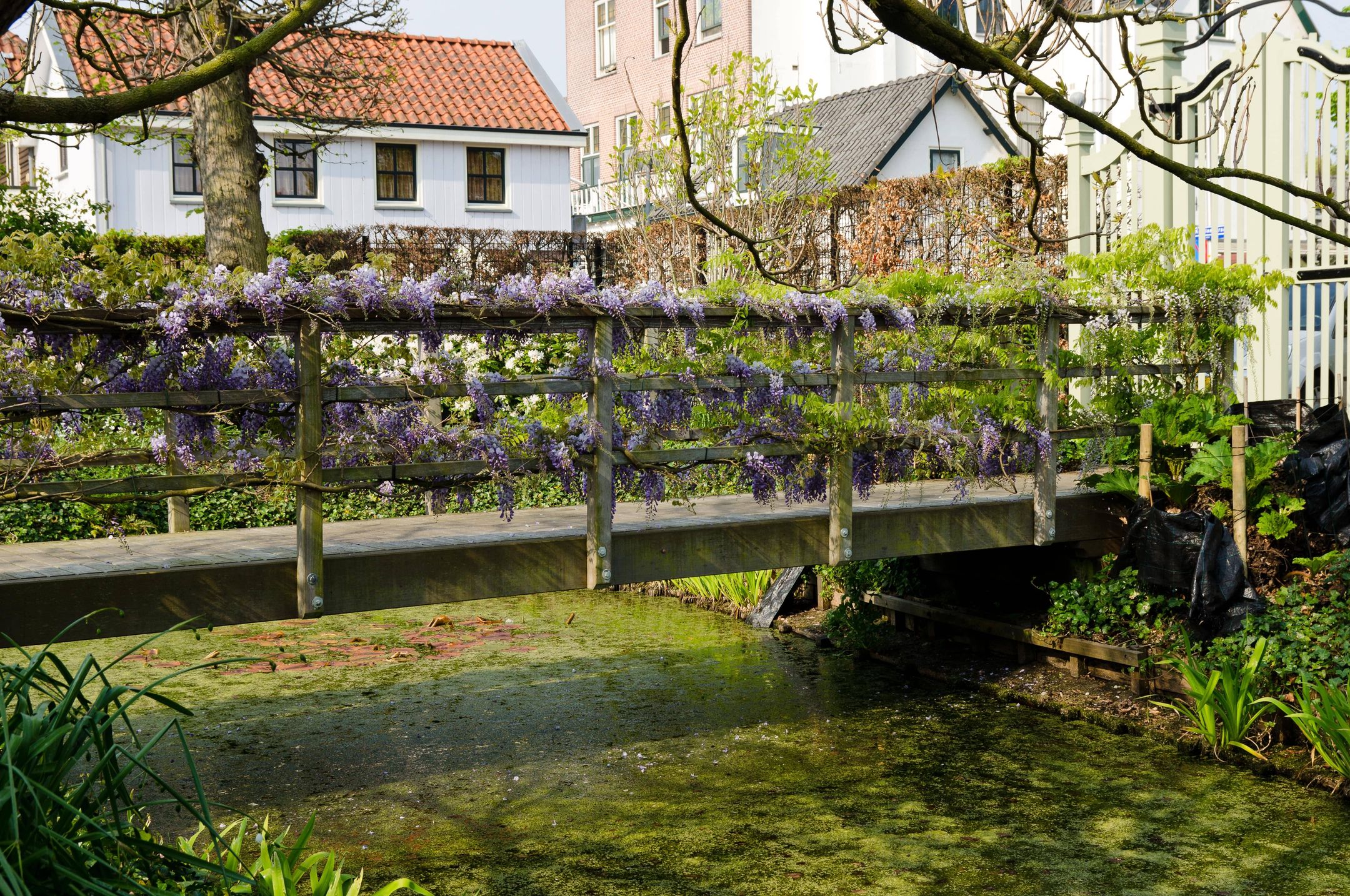 Photo 21 of Burgemeester Ketelaarstraat 1