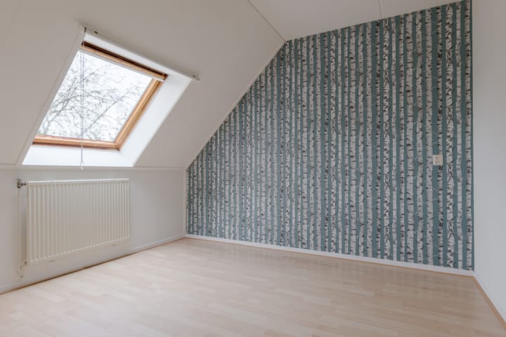 Foto 43 van Tiendlanden 36