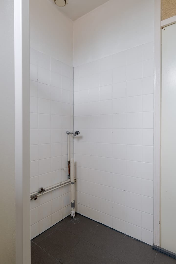 Foto 55 van Tiendlanden 36