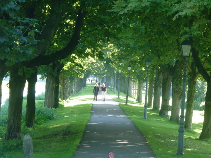 Foto 28 van 't Marken 2