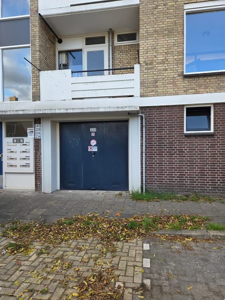 undefined main image