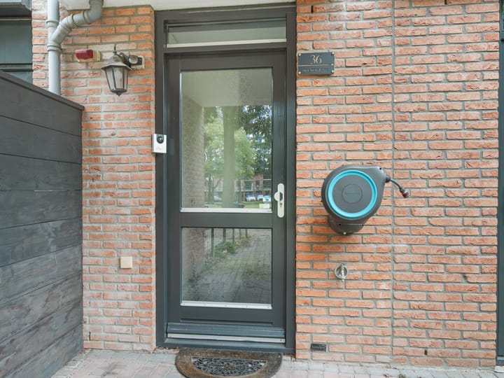 Foto 4 van Heelkruid 36