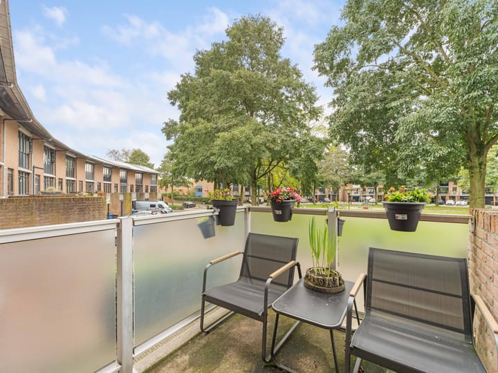 Foto 29 van Heelkruid 36