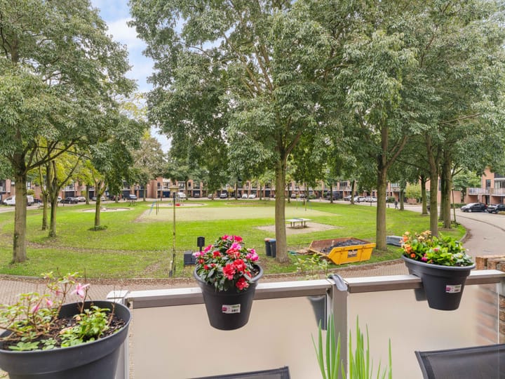 Foto 31 van Heelkruid 36