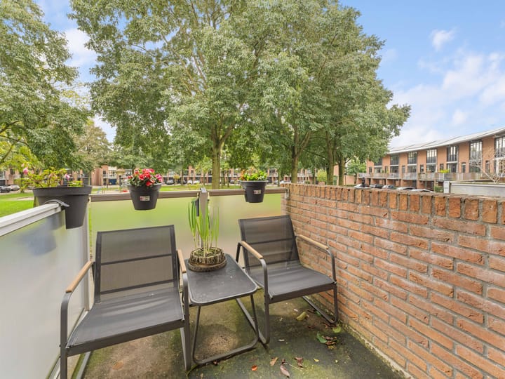 Foto 32 van Heelkruid 36