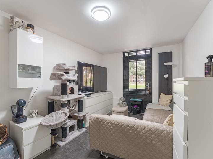 Foto 34 van Heelkruid 36