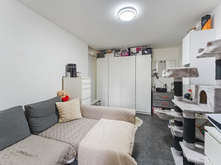 Foto 36 van Heelkruid 36