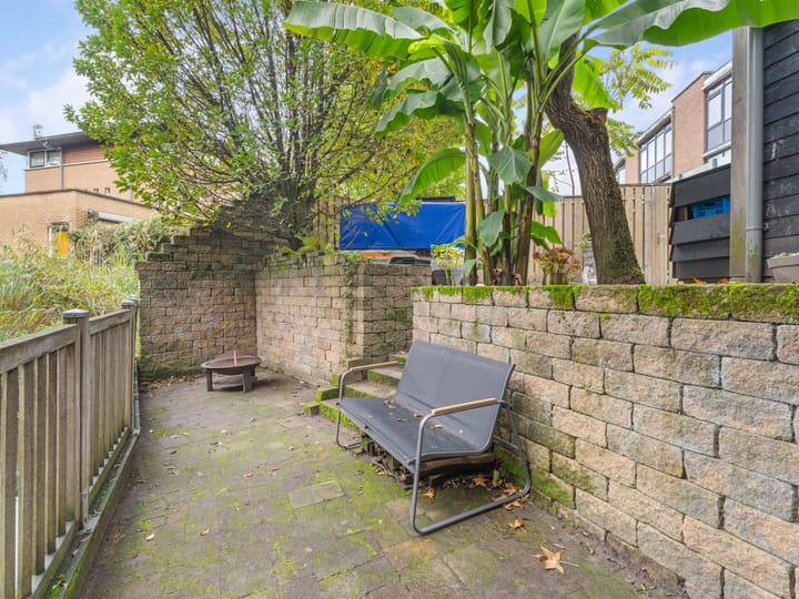 Foto 51 van Heelkruid 36