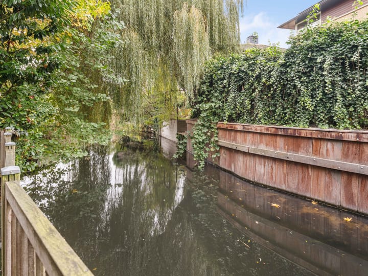 Foto 54 van Heelkruid 36