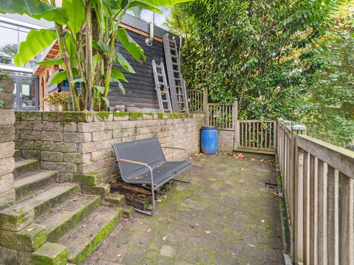 Foto 55 van Heelkruid 36