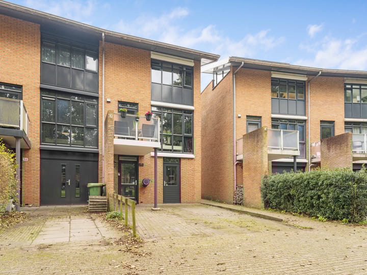 Foto 56 van Heelkruid 36