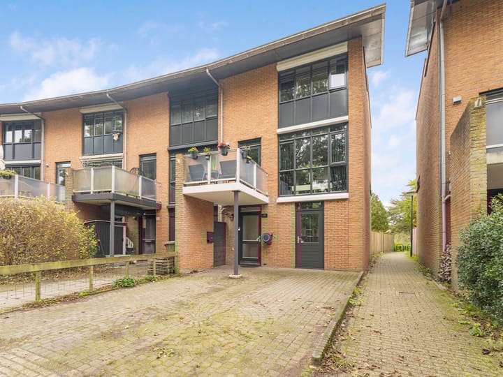 Foto 57 van Heelkruid 36