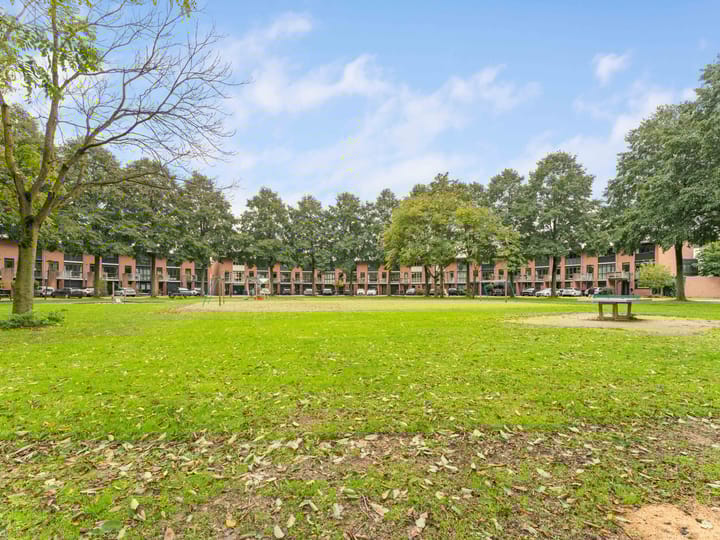 Foto 59 van Heelkruid 36