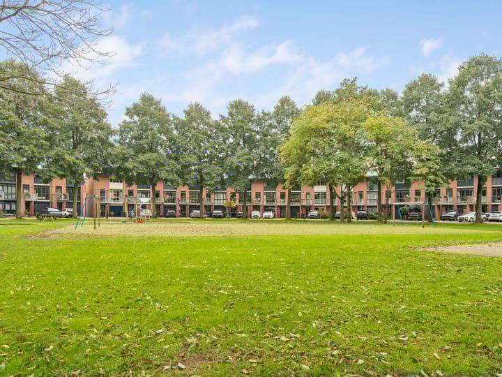 Foto 60 van Heelkruid 36