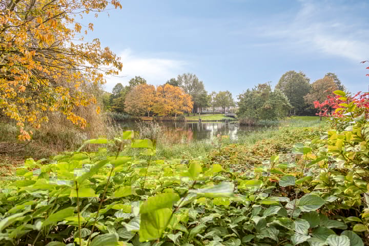 Foto 29 van Louis Davidsstraat 152