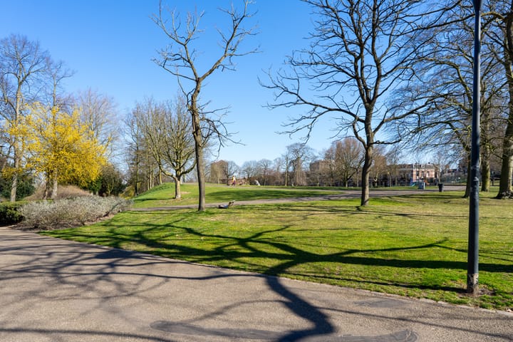 Foto 20 van Smetiusstraat 4-B