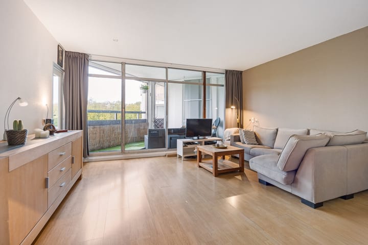 Foto 2 van Gouden Leeuw 727