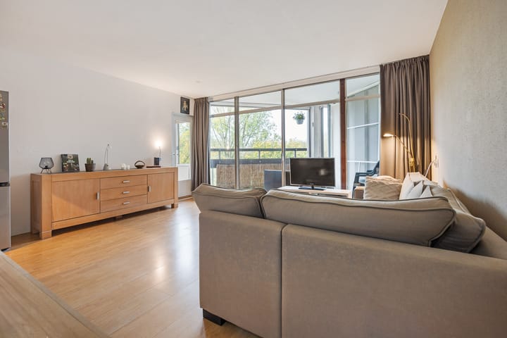 Foto 3 van Gouden Leeuw 727