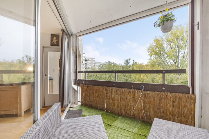 Foto 5 van Gouden Leeuw 727