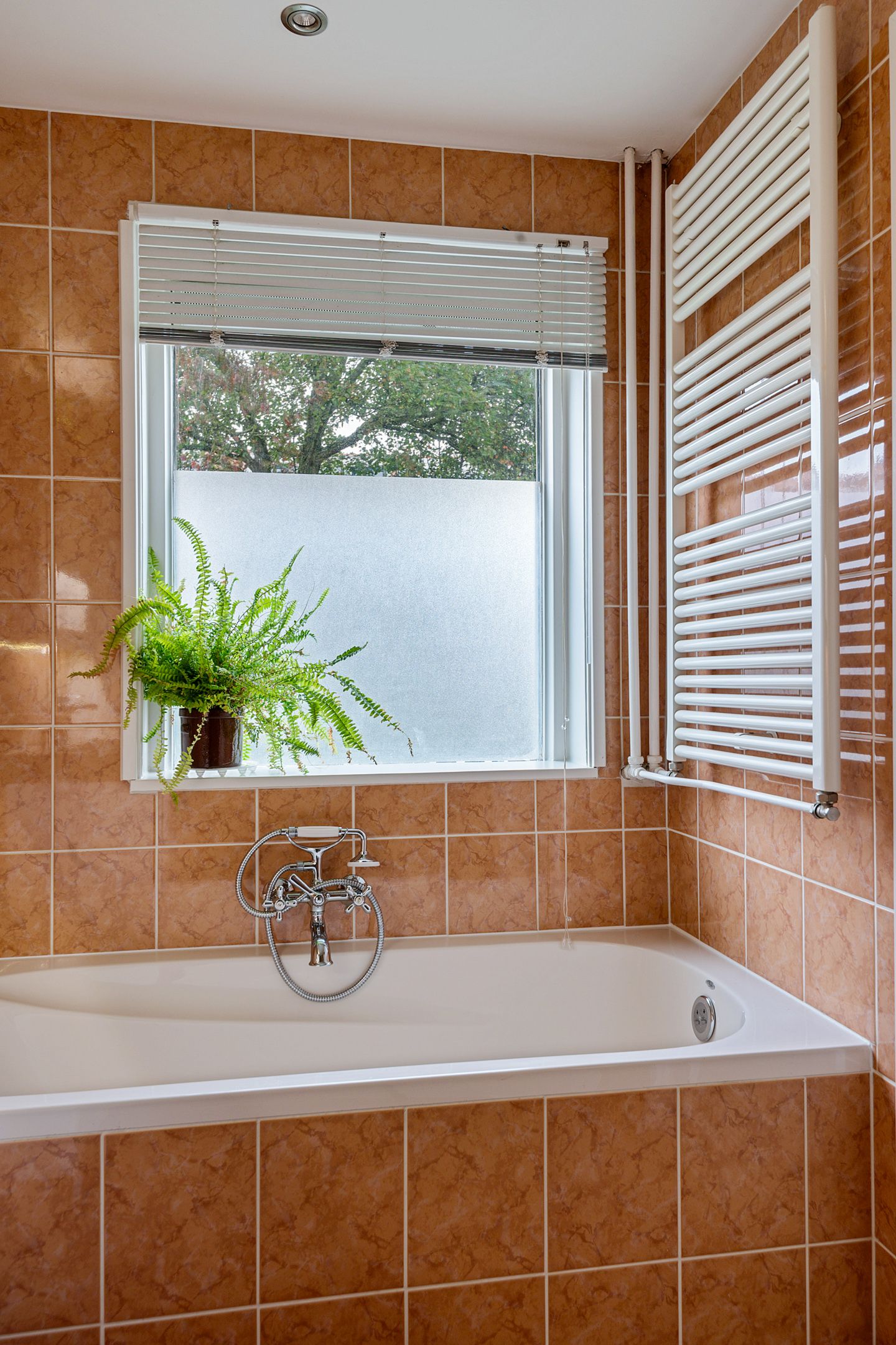 Foto 21 van Akeleistraat 4