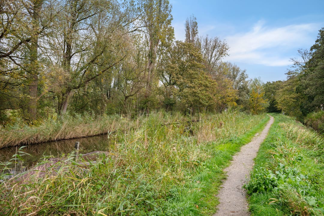 Foto 32 van Akeleistraat 4