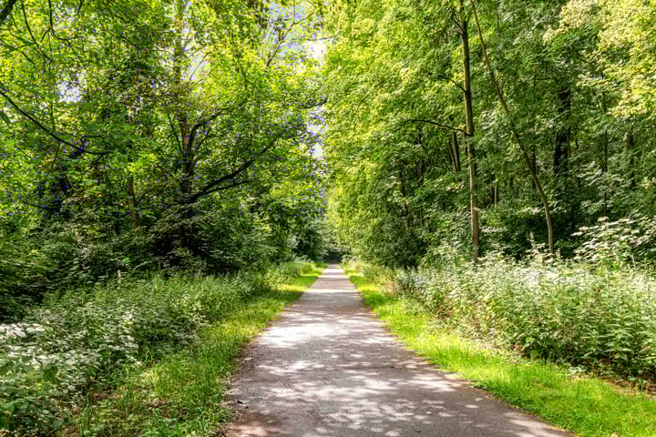 Foto 33 van Rozengaard 18 10