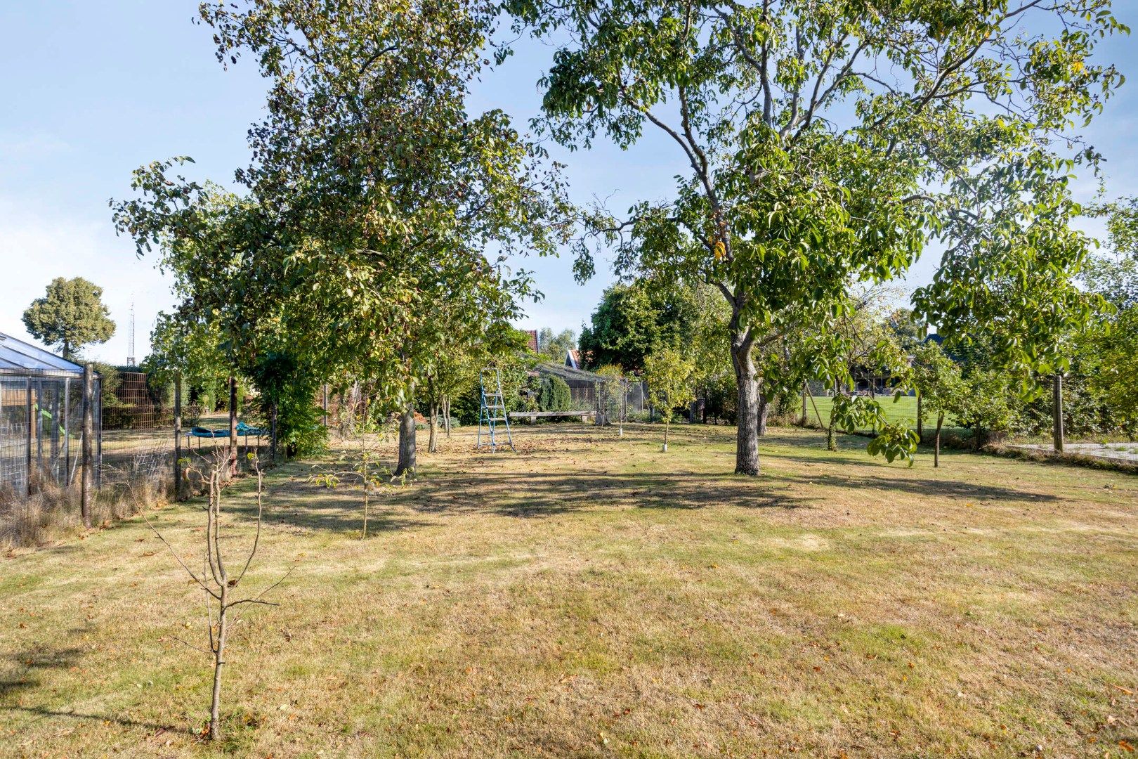 Foto 6 van Rijssenseweg 41