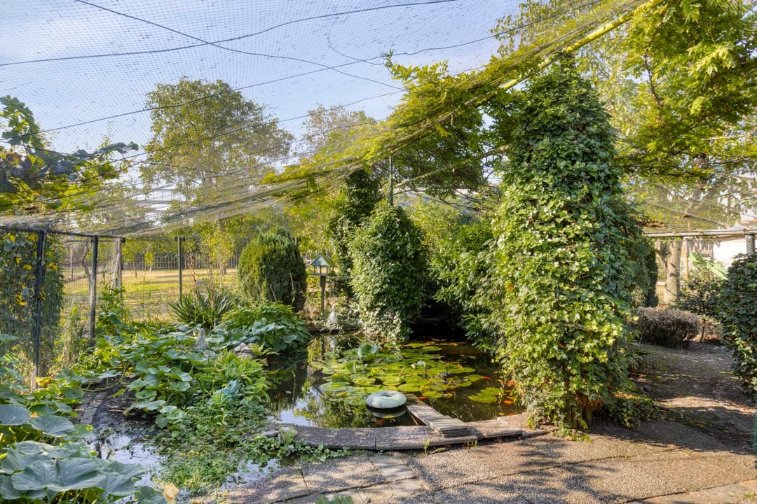 Foto 43 van Rijssenseweg 41