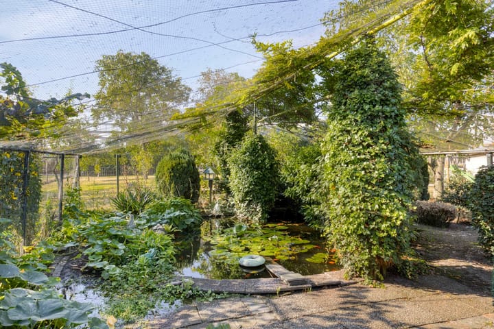 Foto 43 van Rijssenseweg 41