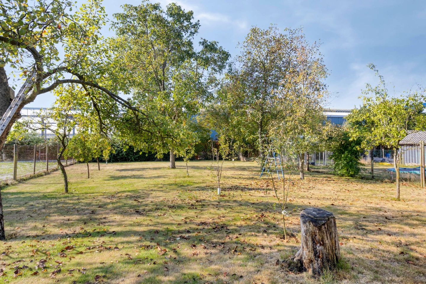 Foto 44 van Rijssenseweg 41