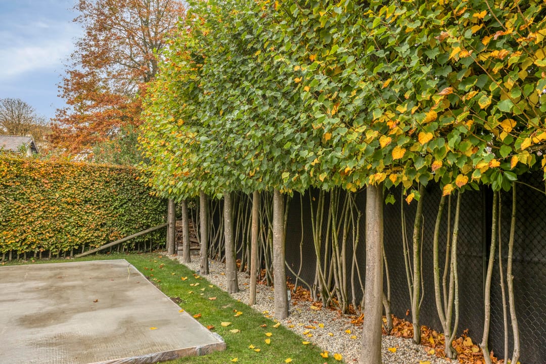 Foto 46 van Onderstestraat 58