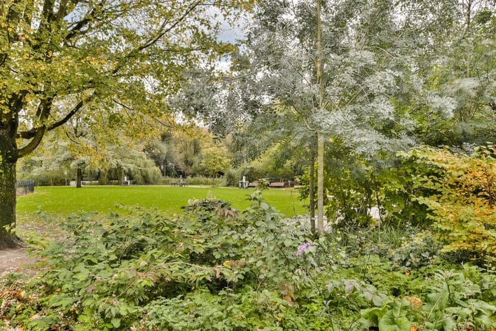 Foto 28 van Eerste Van der Helststraat 82-2