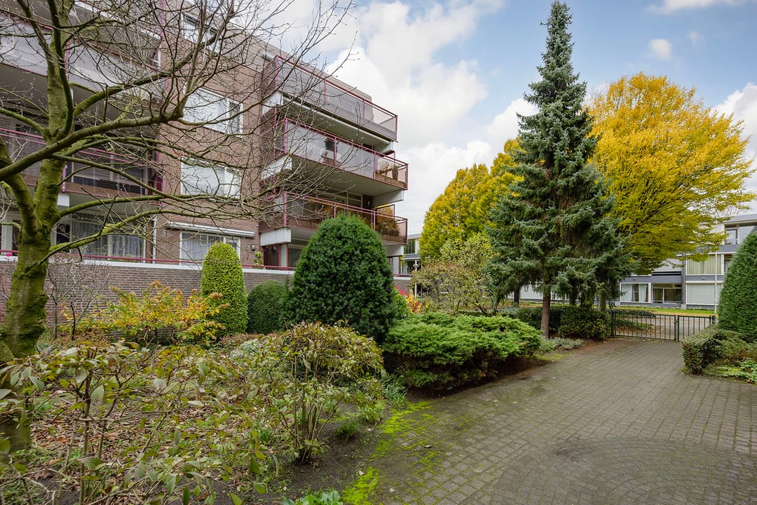 Photo 1 of Hartenvier 19