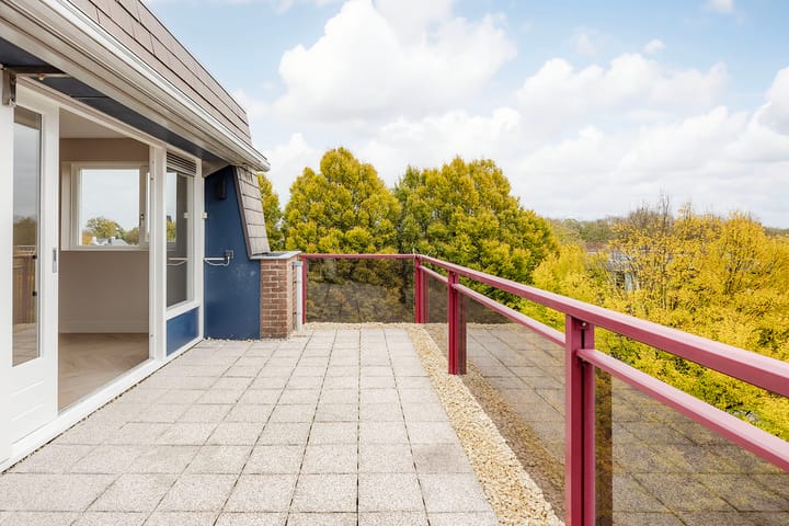 Photo 20 of Hartenvier 19