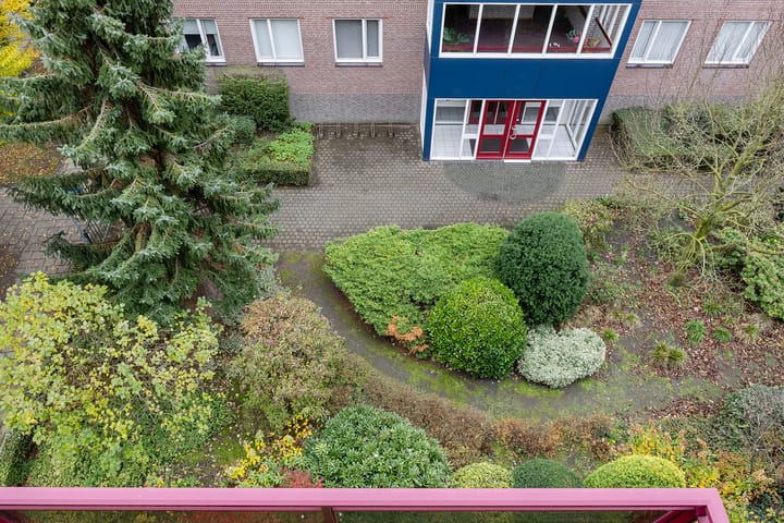 Photo 19 of Hartenvier 19