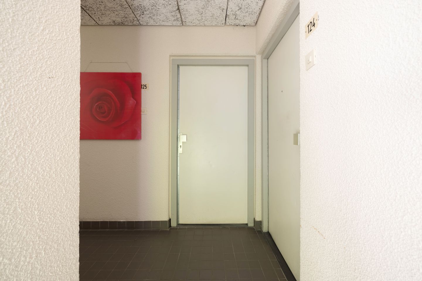 Foto 20 van Wamelstraat 125