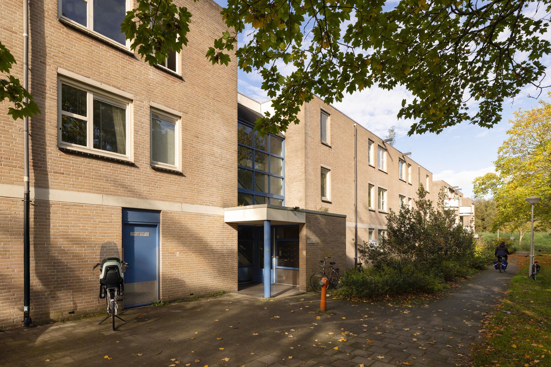 Foto 21 van Wamelstraat 125