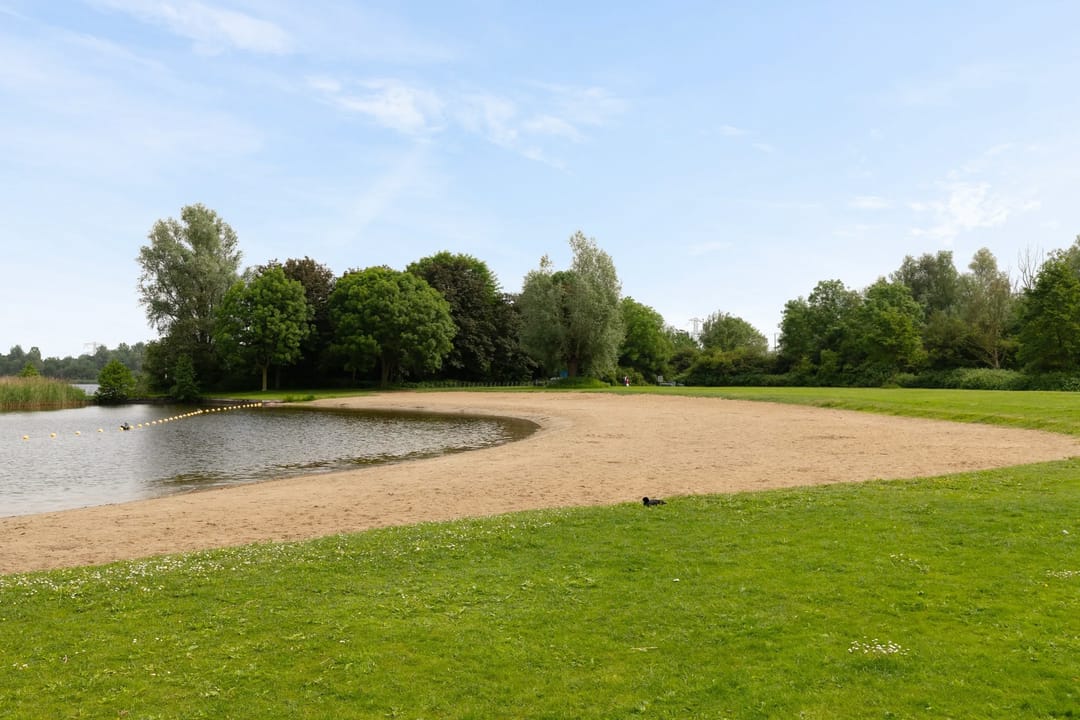 Foto 23 van Wamelstraat 125