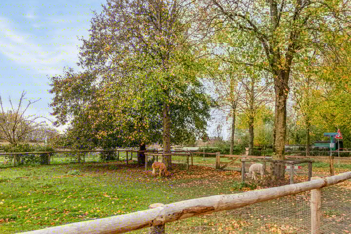 Foto 30 van Händellaan 97