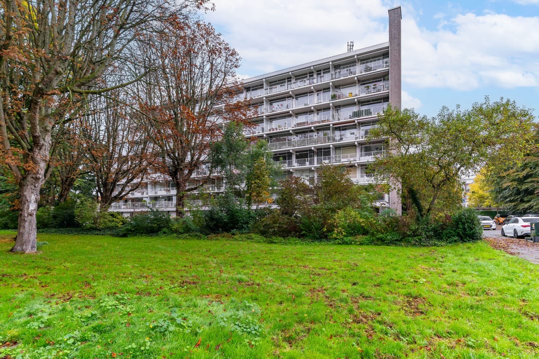 Foto 1 van Suzannaland 584