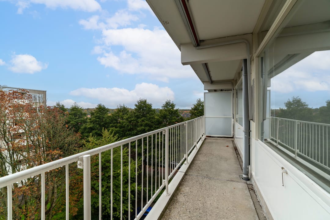 Foto 7 van Suzannaland 584