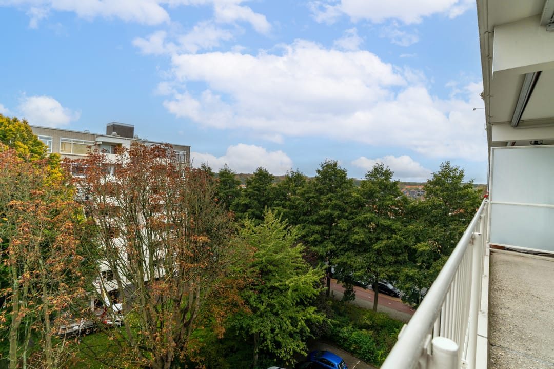 Foto 8 van Suzannaland 584