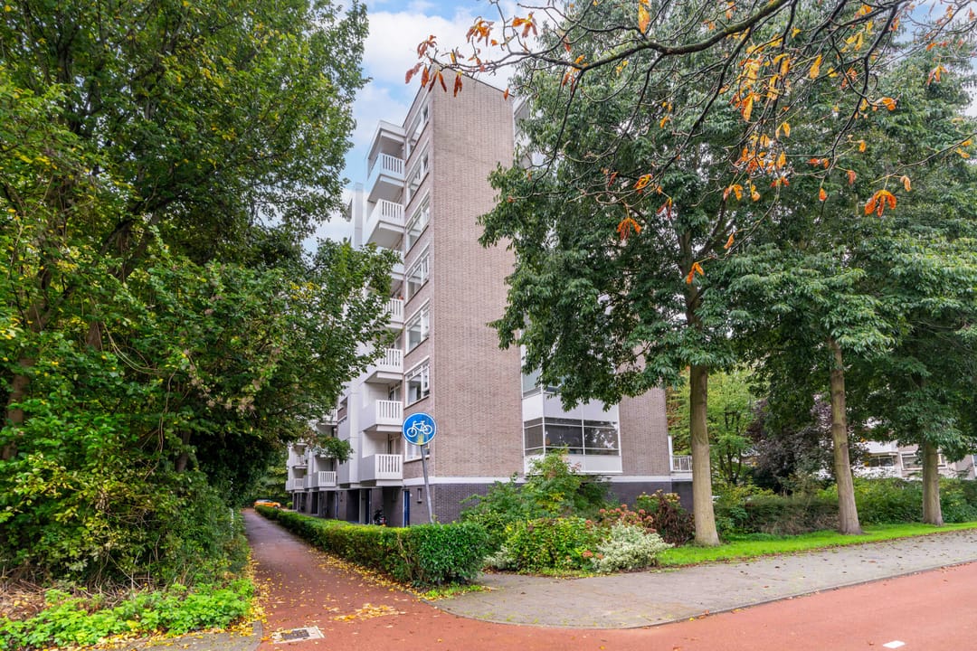 Foto 28 van Suzannaland 584