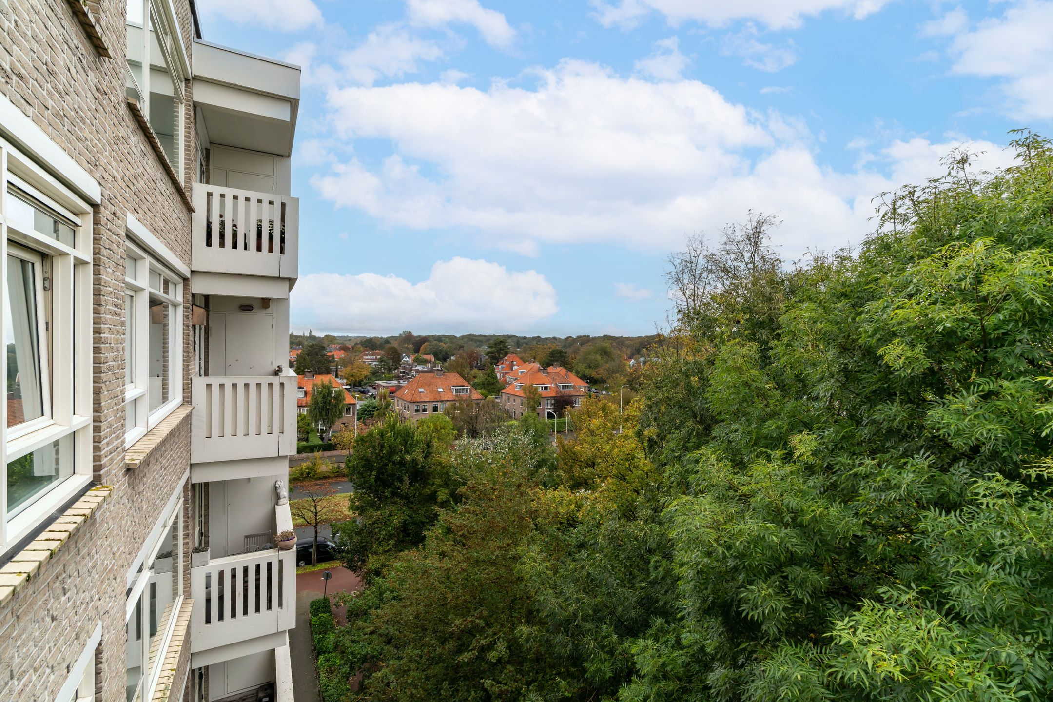 Foto 24 van Suzannaland 584