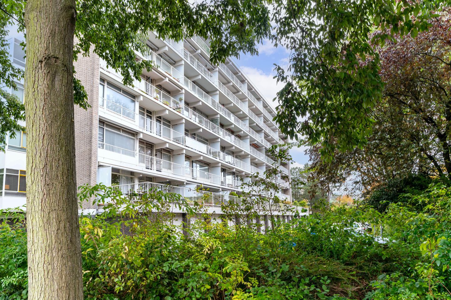 Foto 29 van Suzannaland 584