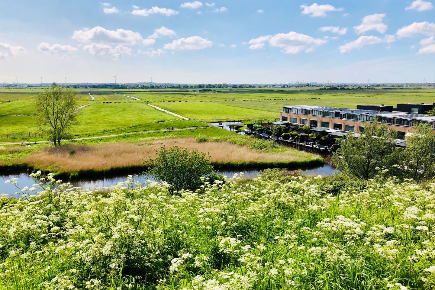 Foto 35 van Letterhout 39