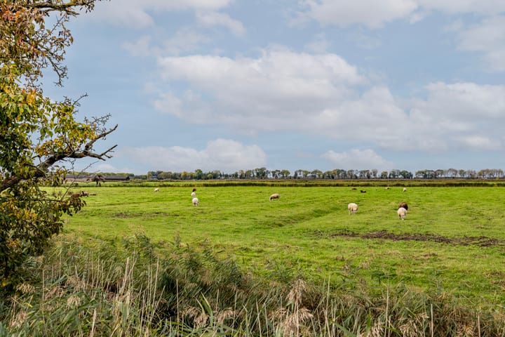 Photo 66 of Weelsedijk 46