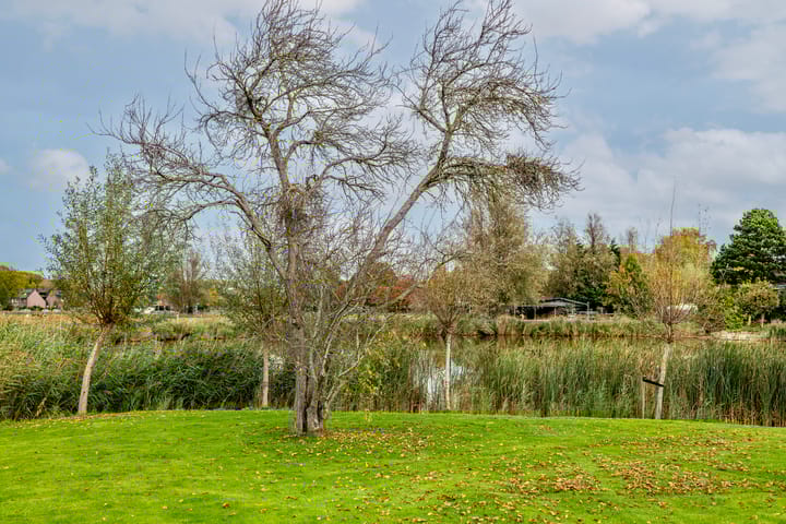 Photo 74 of Weelsedijk 46